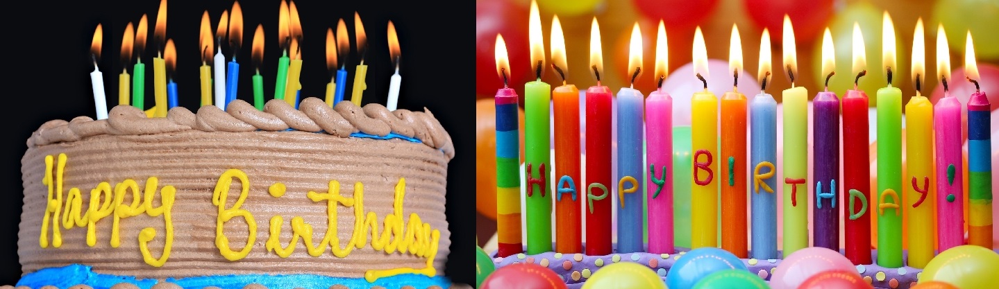 Niğde 3D Resimli Pastalar doğum günü pastası siparişi